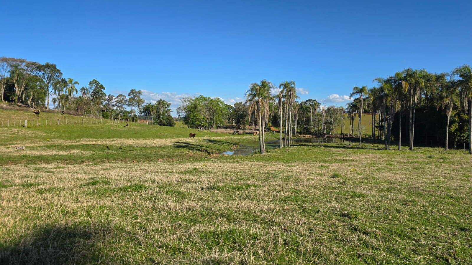 Sítio, 2 quartos, 120 m² - Foto 26