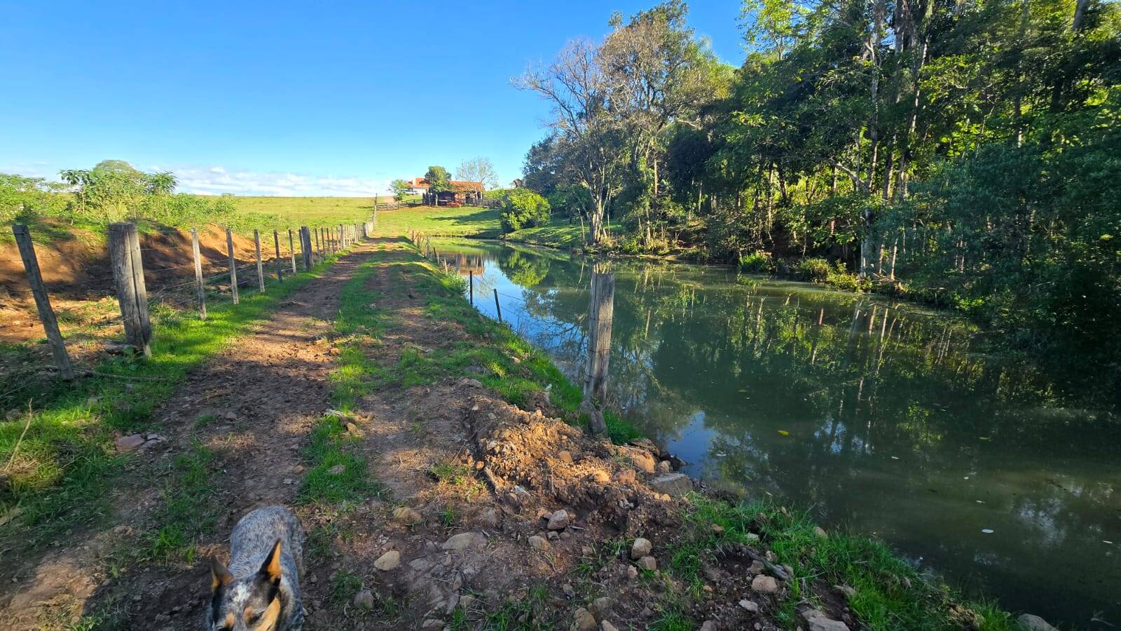 Sítio, 2 quartos, 120 m² - Foto 18