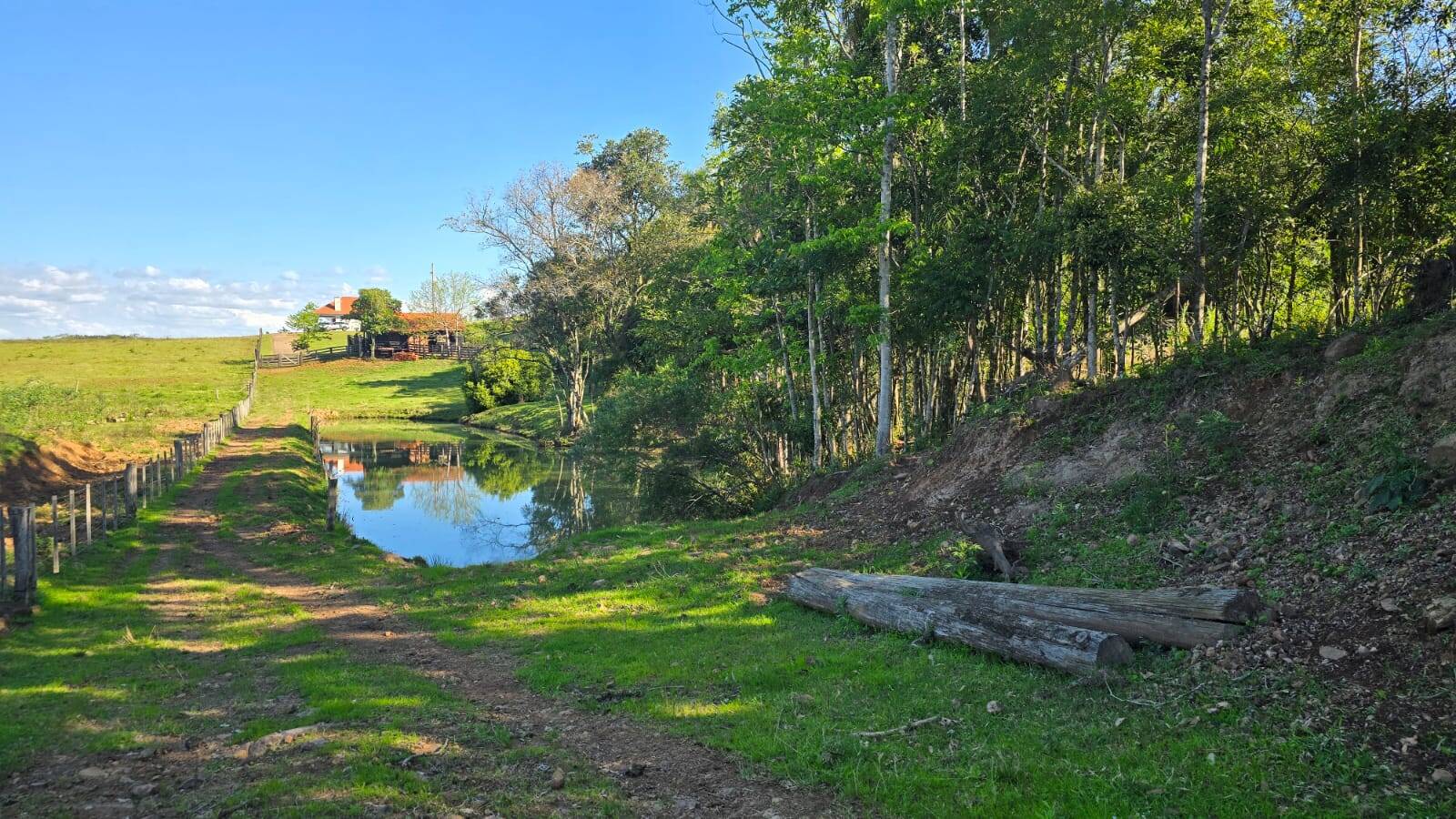 Sítio, 2 quartos, 120 m² - Foto 24