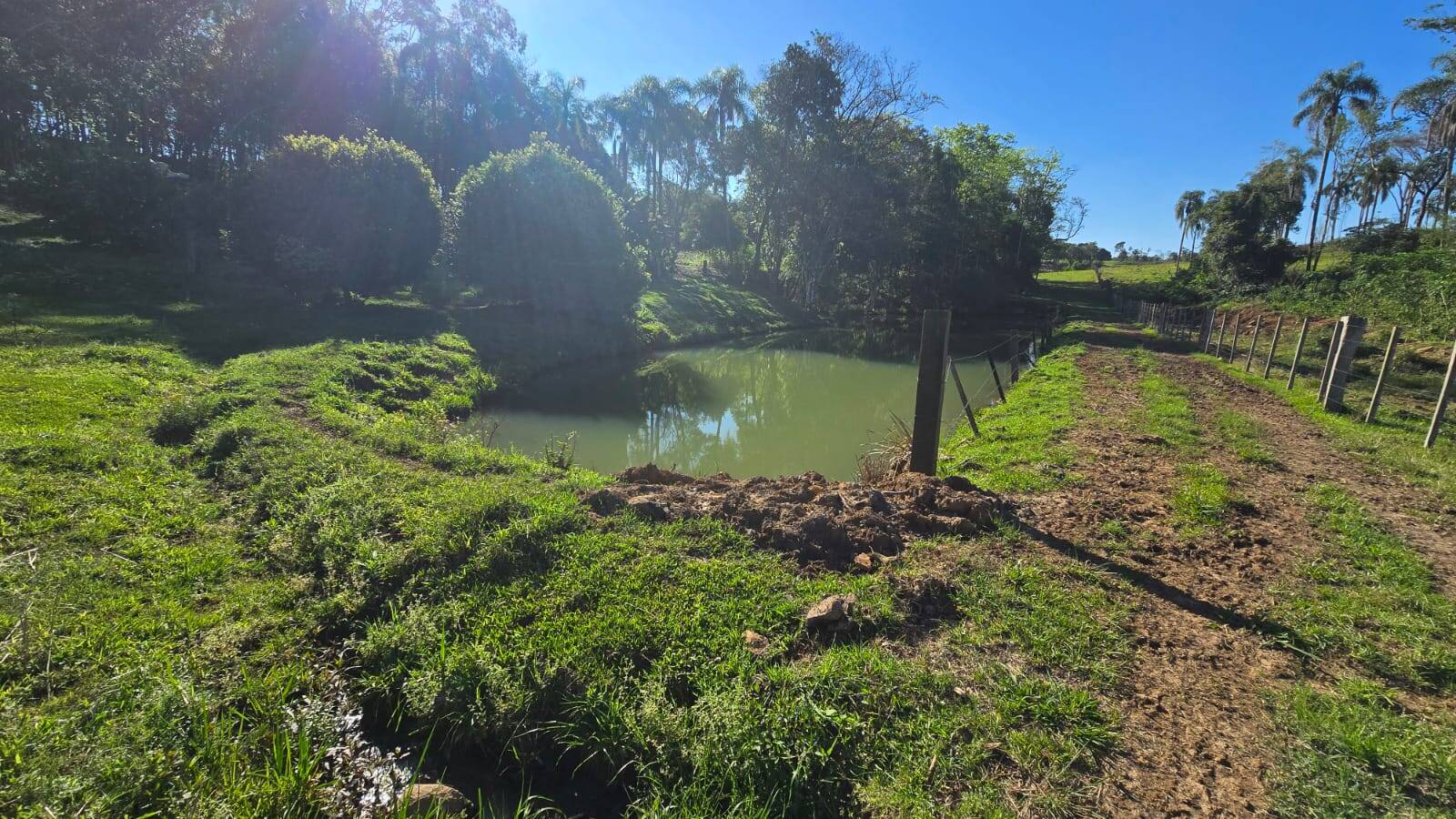 Sítio, 2 quartos, 120 m² - Foto 19