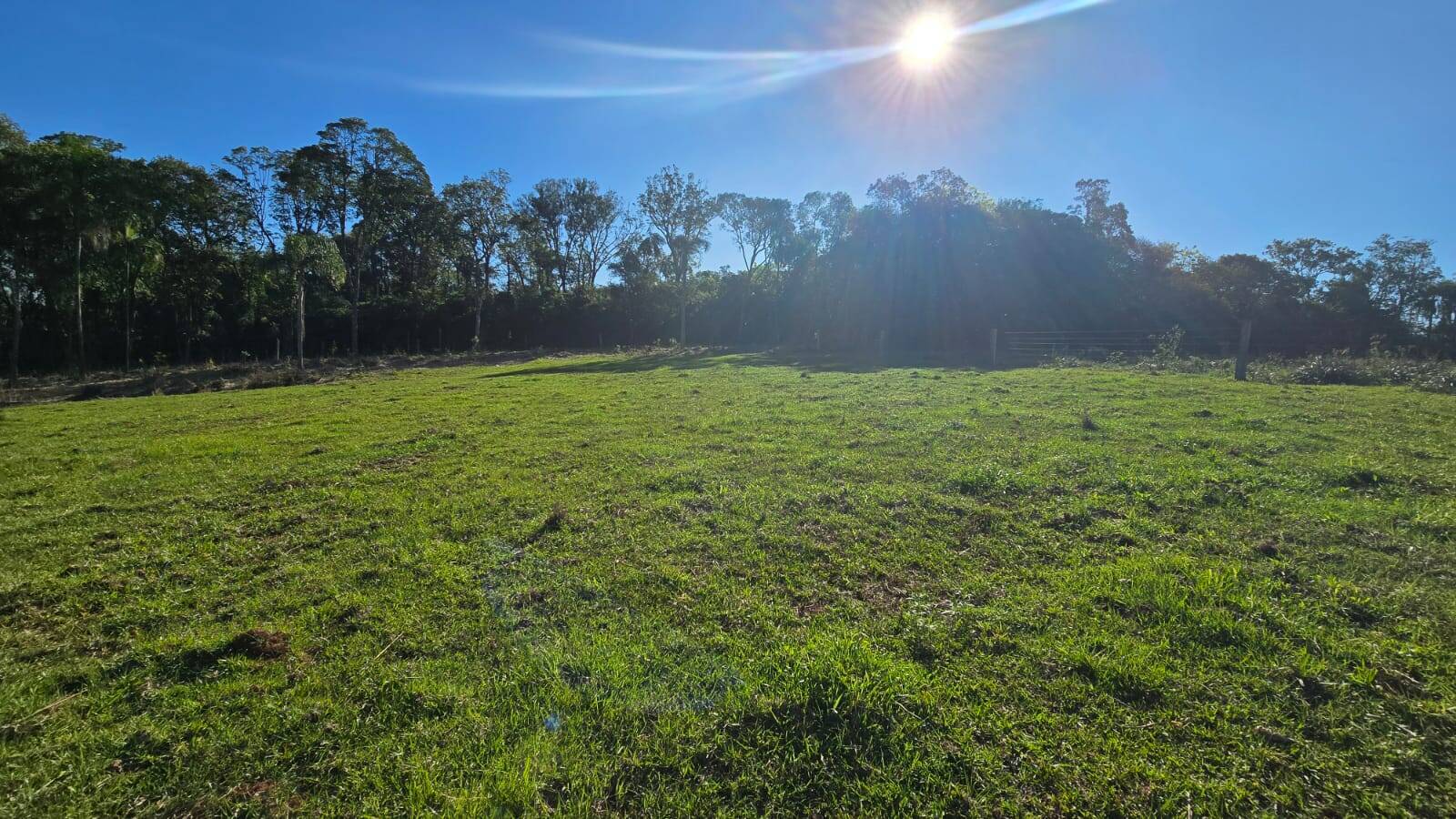 Sítio, 2 quartos, 120 m² - Foto 29