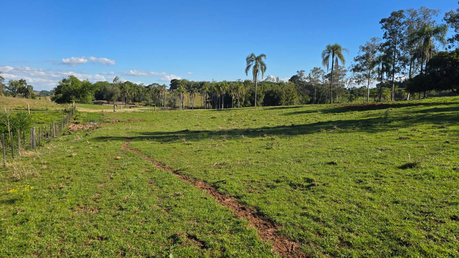 Sítio, 2 quartos, 120 m² - Foto 30