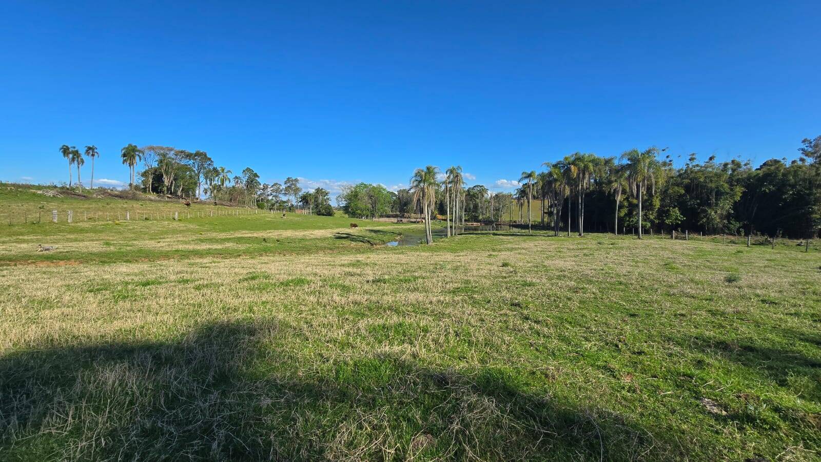 Sítio, 2 quartos, 120 m² - Foto 31