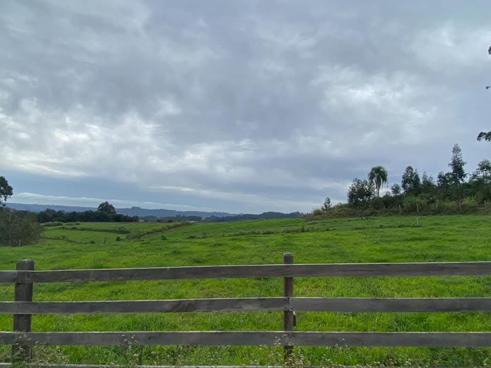 Sítio, 3 quartos, 2 hectares - Foto 17