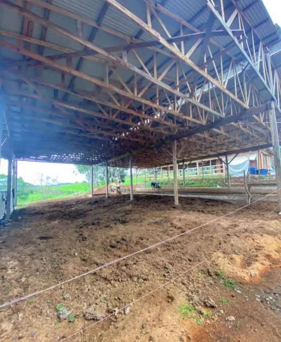 Sítio, 3 quartos, 2 hectares - Foto 19