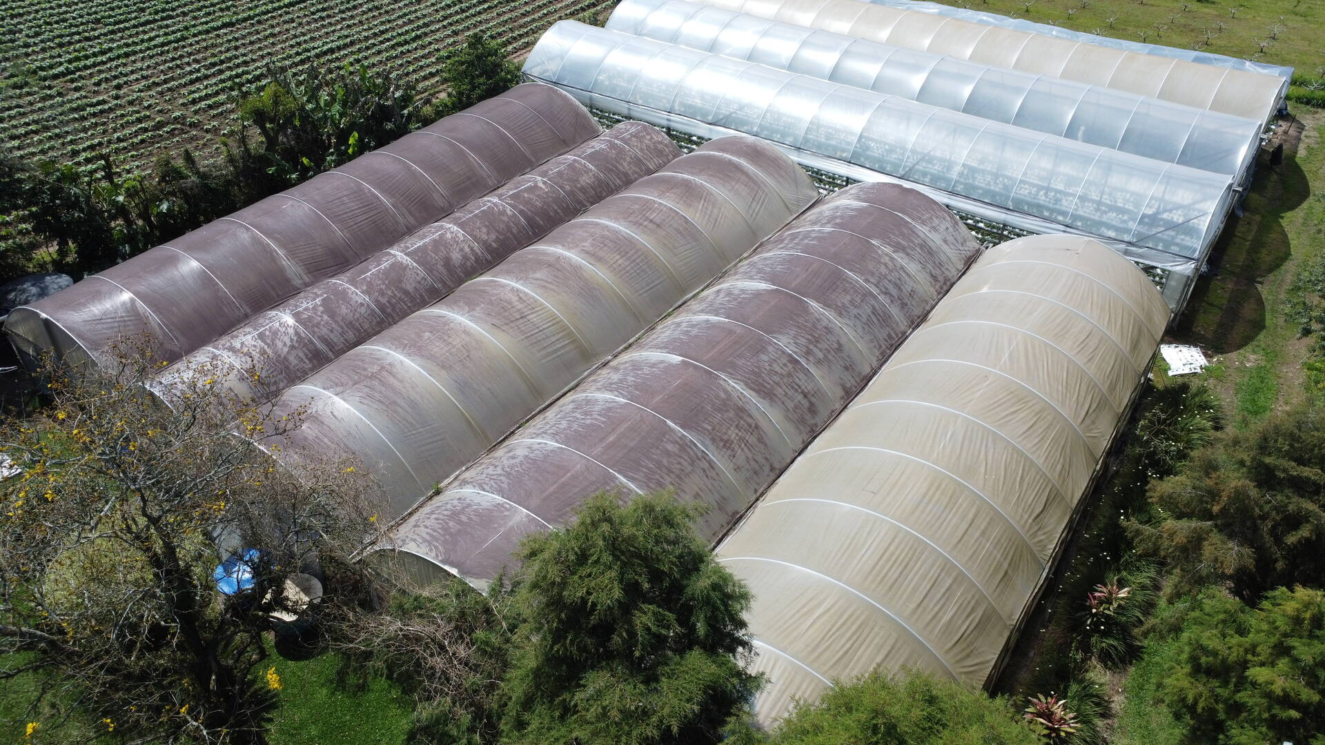 Sítio, 3 quartos, 500 m² - Foto 16