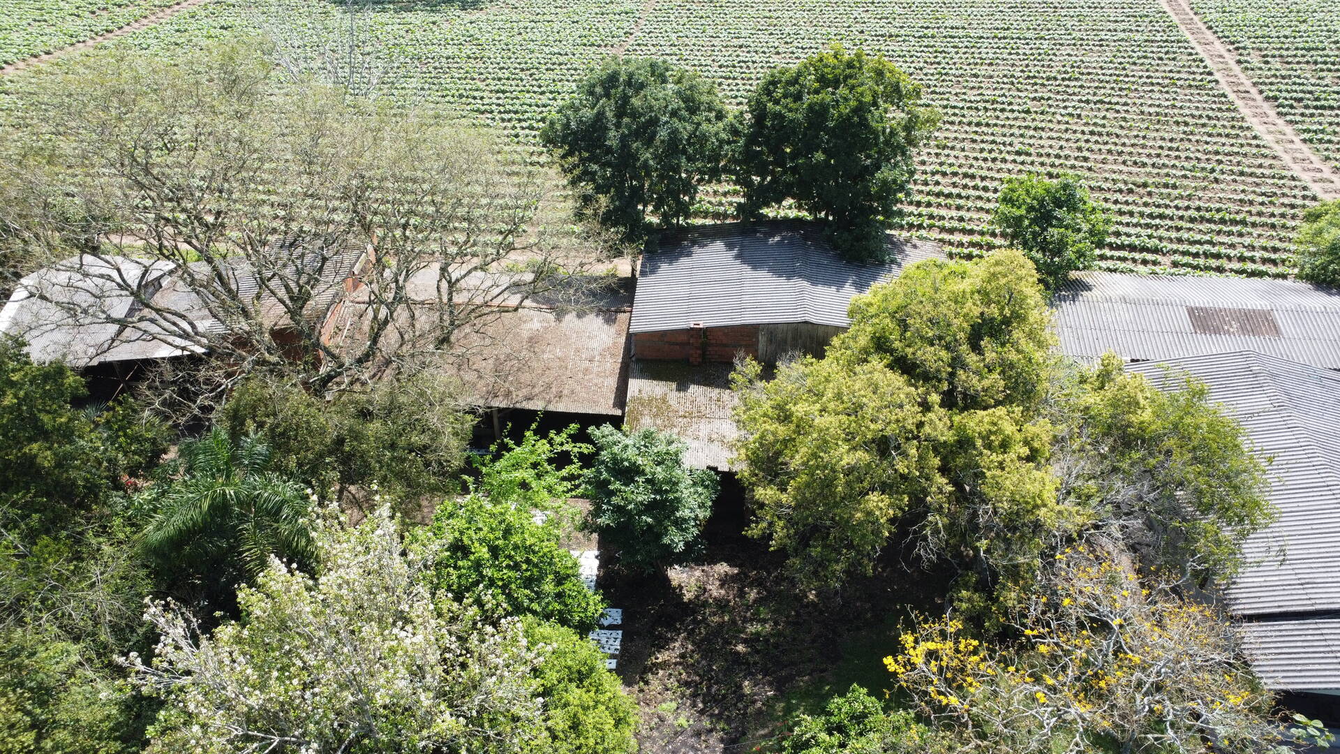 Sítio, 3 quartos, 500 m² - Foto 21