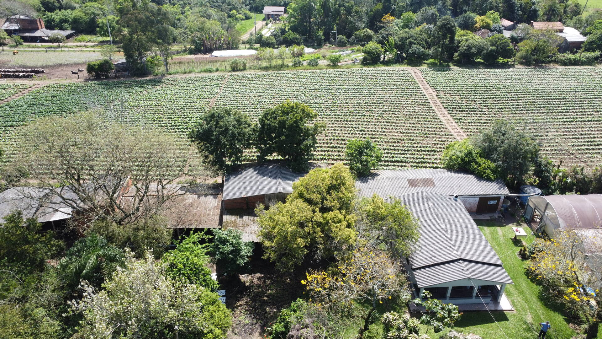 Sítio, 3 quartos, 500 m² - Foto 22