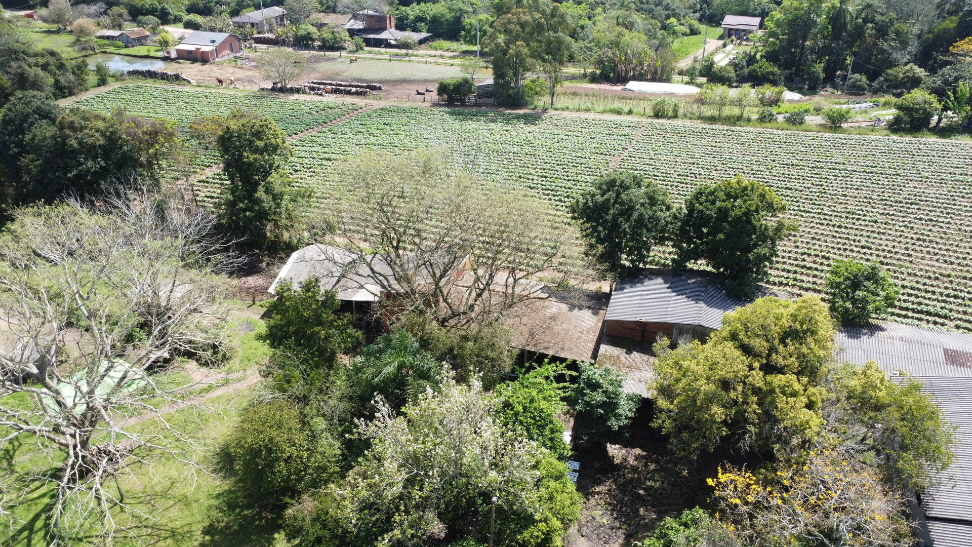 Sítio, 3 quartos, 500 m² - Foto 23