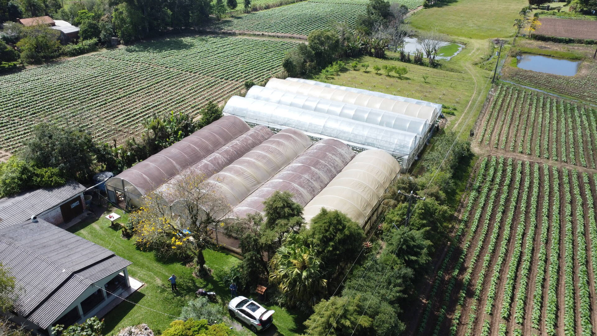 Sítio, 3 quartos, 500 m² - Foto 17