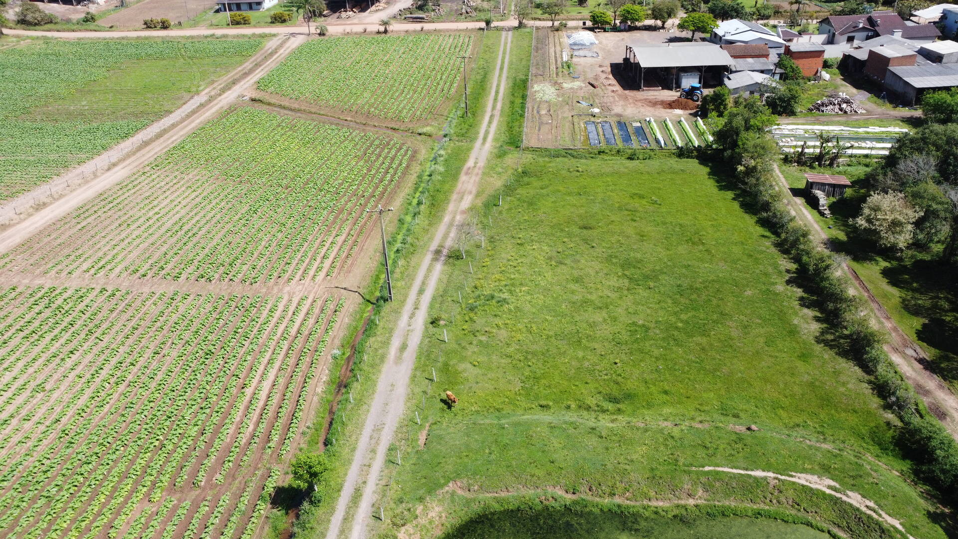 Sítio, 3 quartos, 500 m² - Foto 25