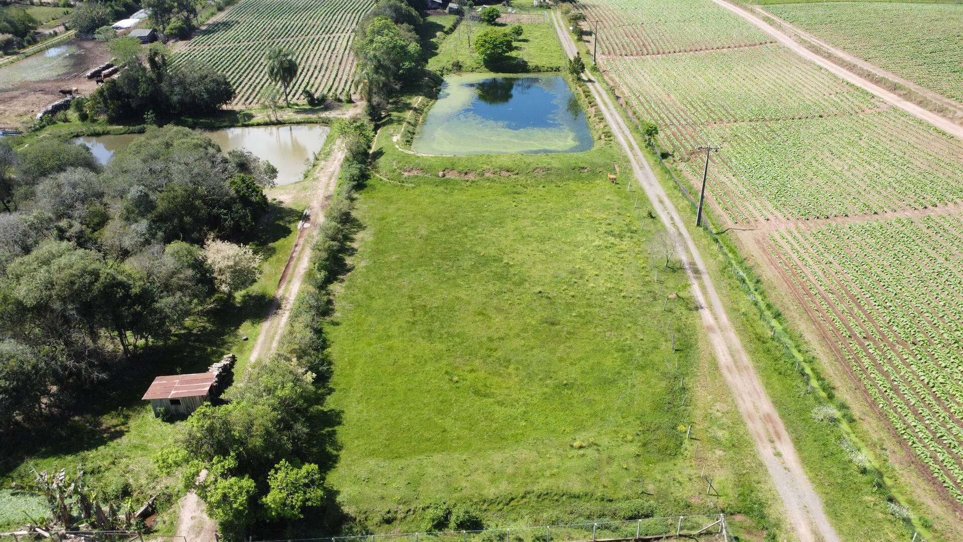 Sítio, 3 quartos, 500 m² - Foto 26