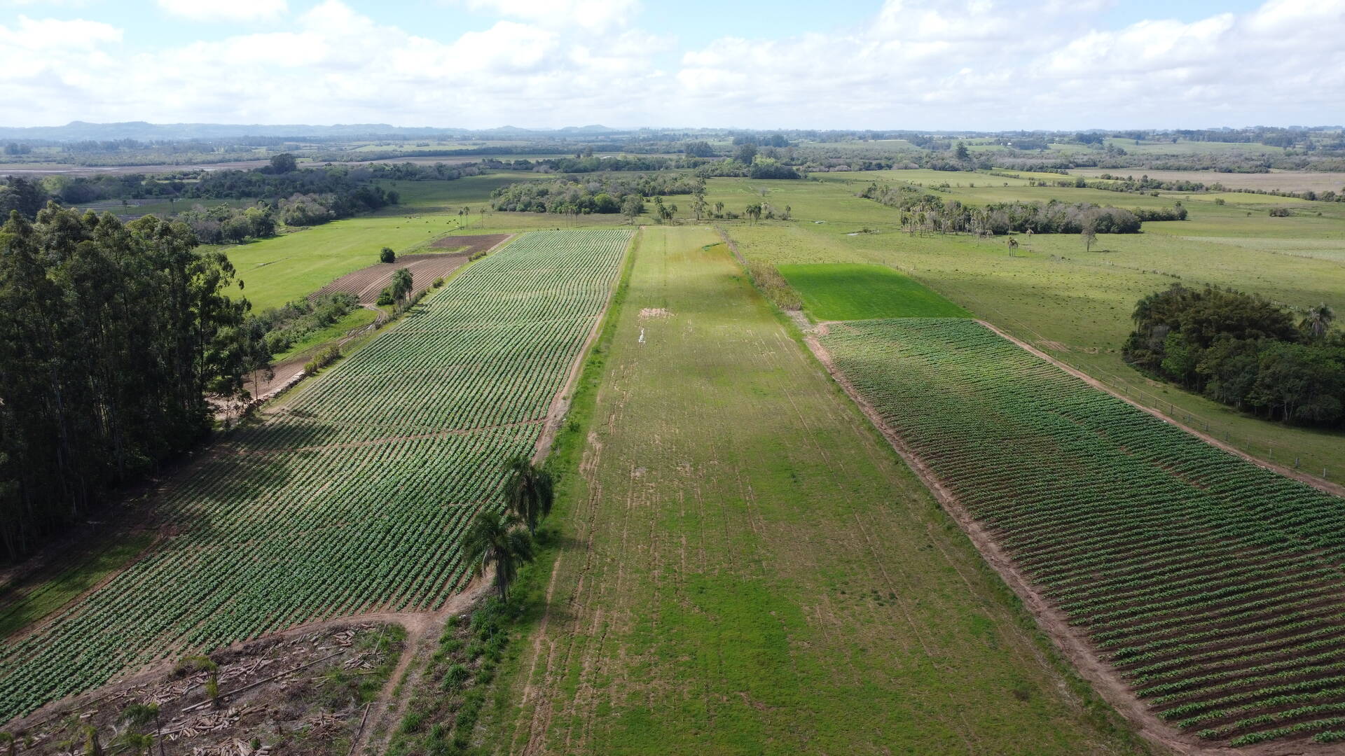 Sítio, 3 quartos, 500 m² - Foto 27