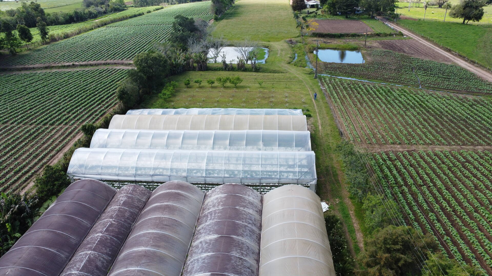 Sítio, 3 quartos, 500 m² - Foto 18