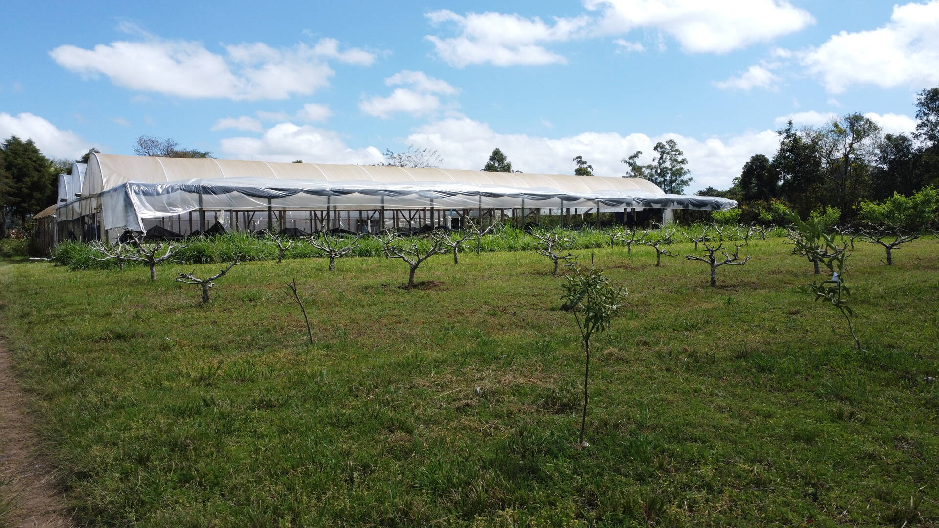 Sítio, 3 quartos, 500 m² - Foto 24