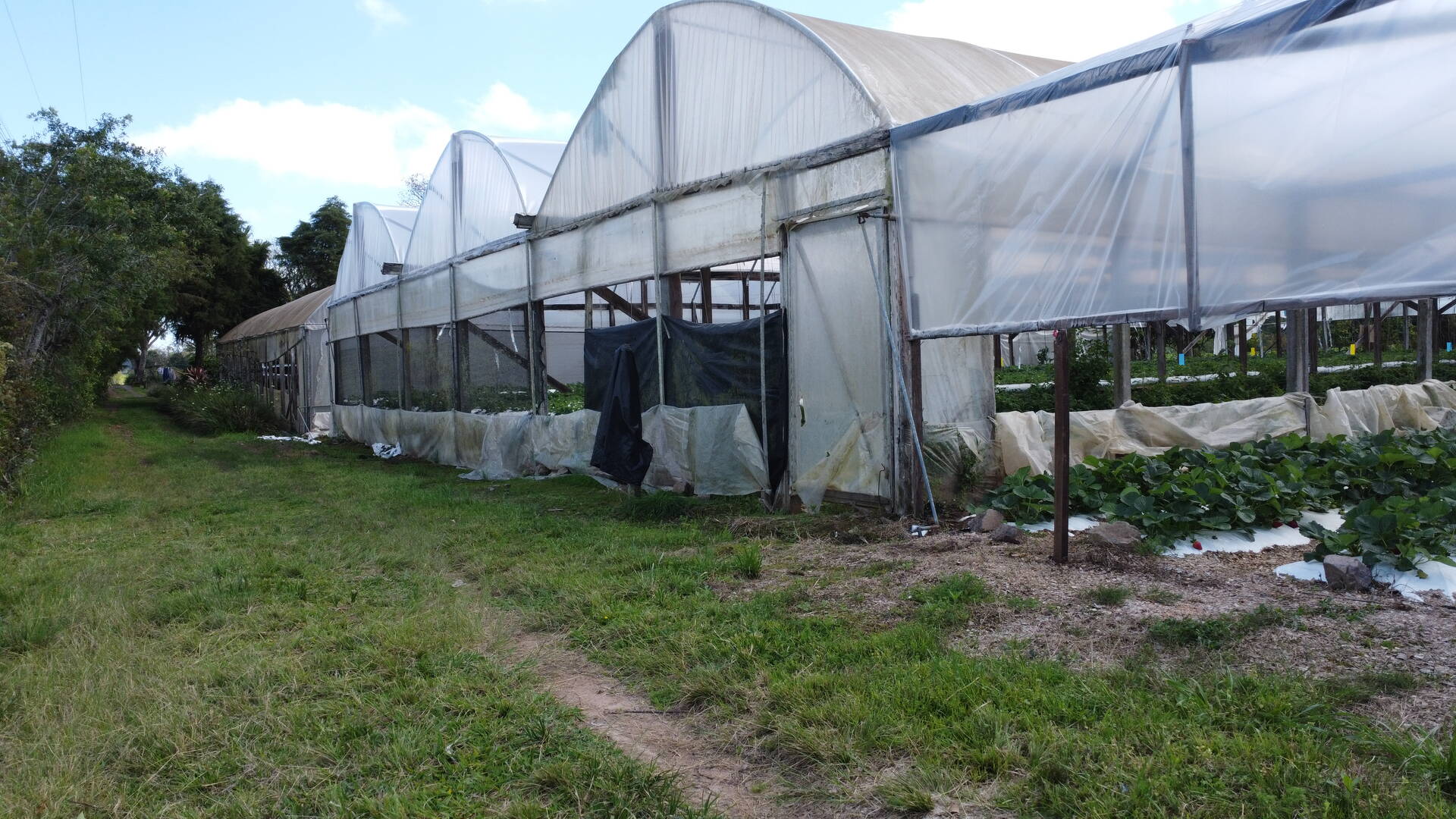 Sítio, 3 quartos, 500 m² - Foto 12