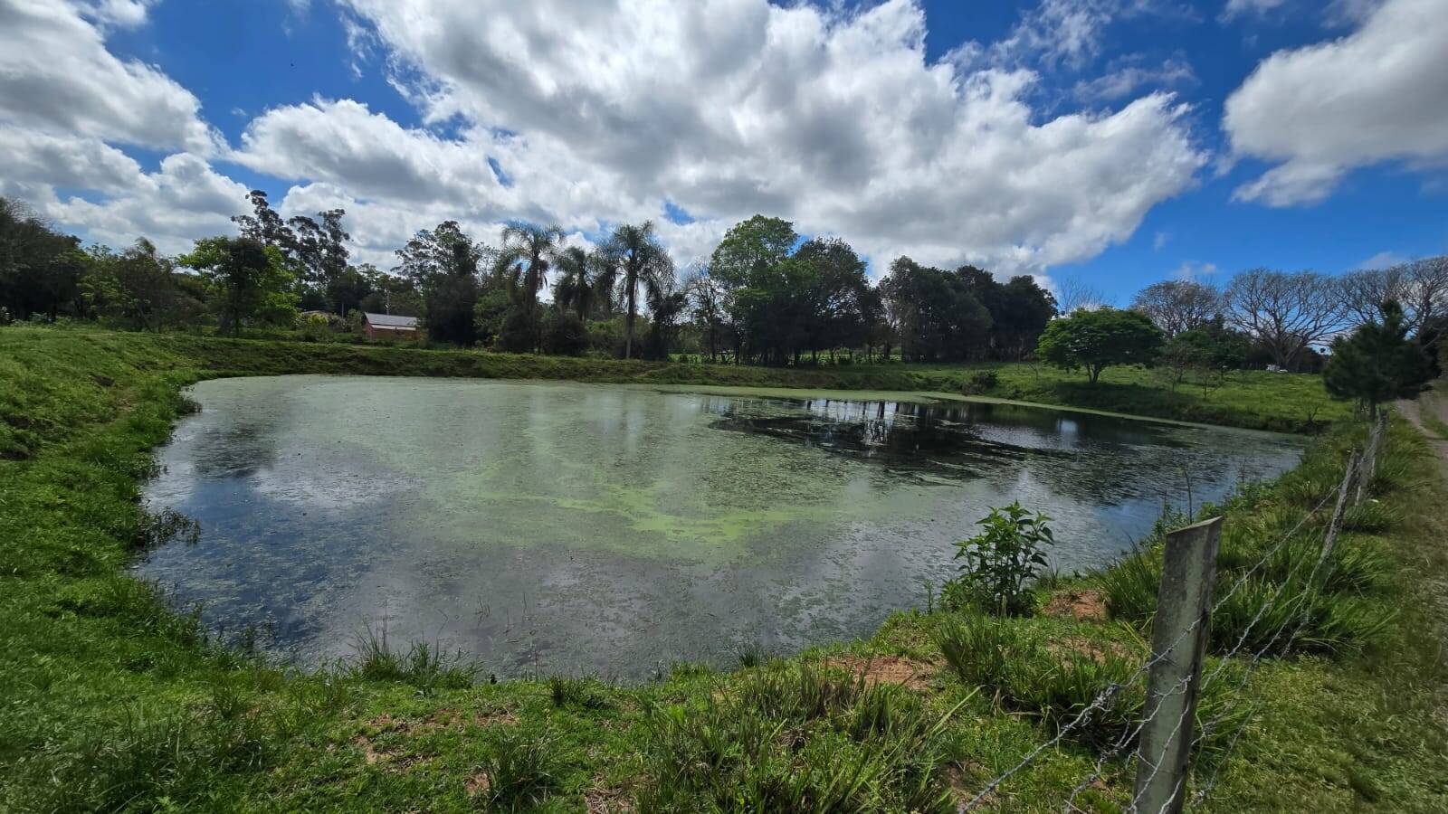 Sítio, 3 quartos, 500 m² - Foto 31