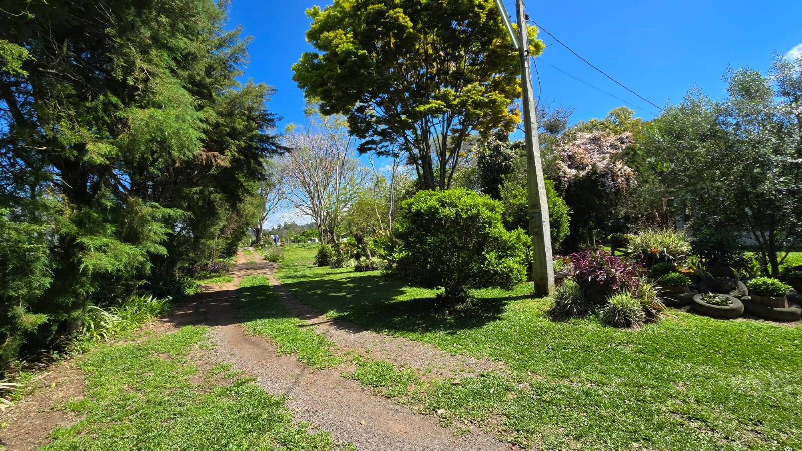 Sítio, 3 quartos, 500 m² - Foto 33