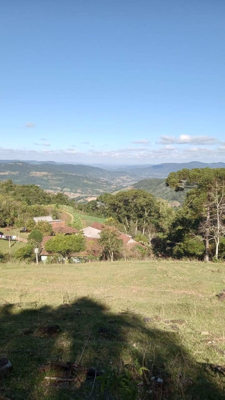 Sítio, 3 quartos, 37 hectares - Foto 4