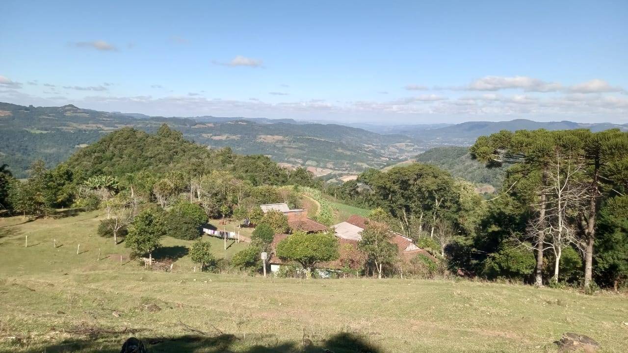 Sítio, 3 quartos, 37 hectares - Foto 5