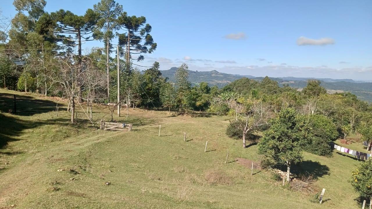 Sítio, 3 quartos, 37 hectares - Foto 6