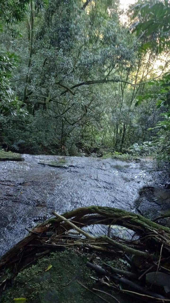 Sítio, 3 quartos, 37 hectares - Foto 7