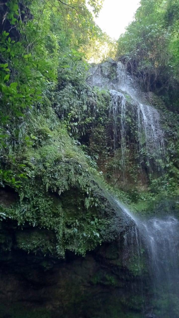Sítio, 3 quartos, 37 hectares - Foto 8