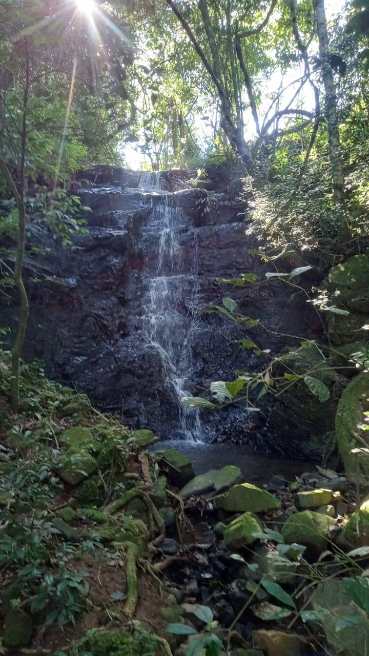 Sítio, 3 quartos, 37 hectares - Foto 10