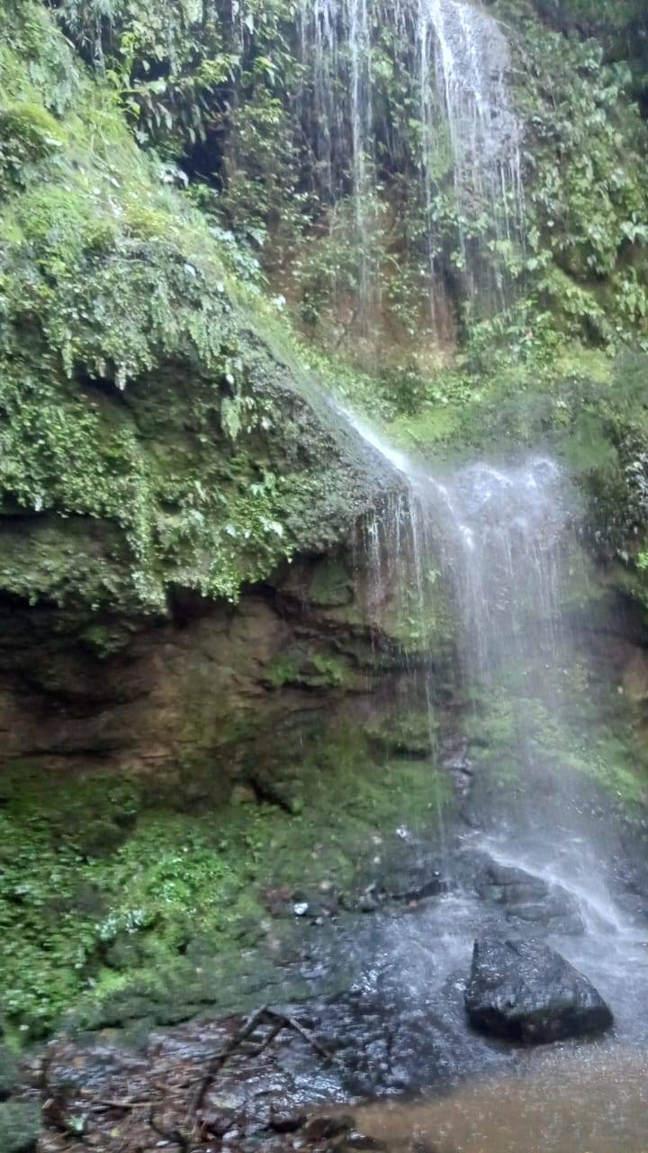 Sítio, 3 quartos, 37 hectares - Foto 11