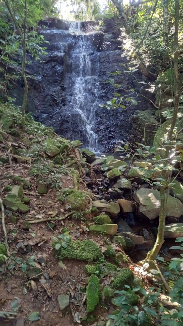 Sítio, 3 quartos, 37 hectares - Foto 12