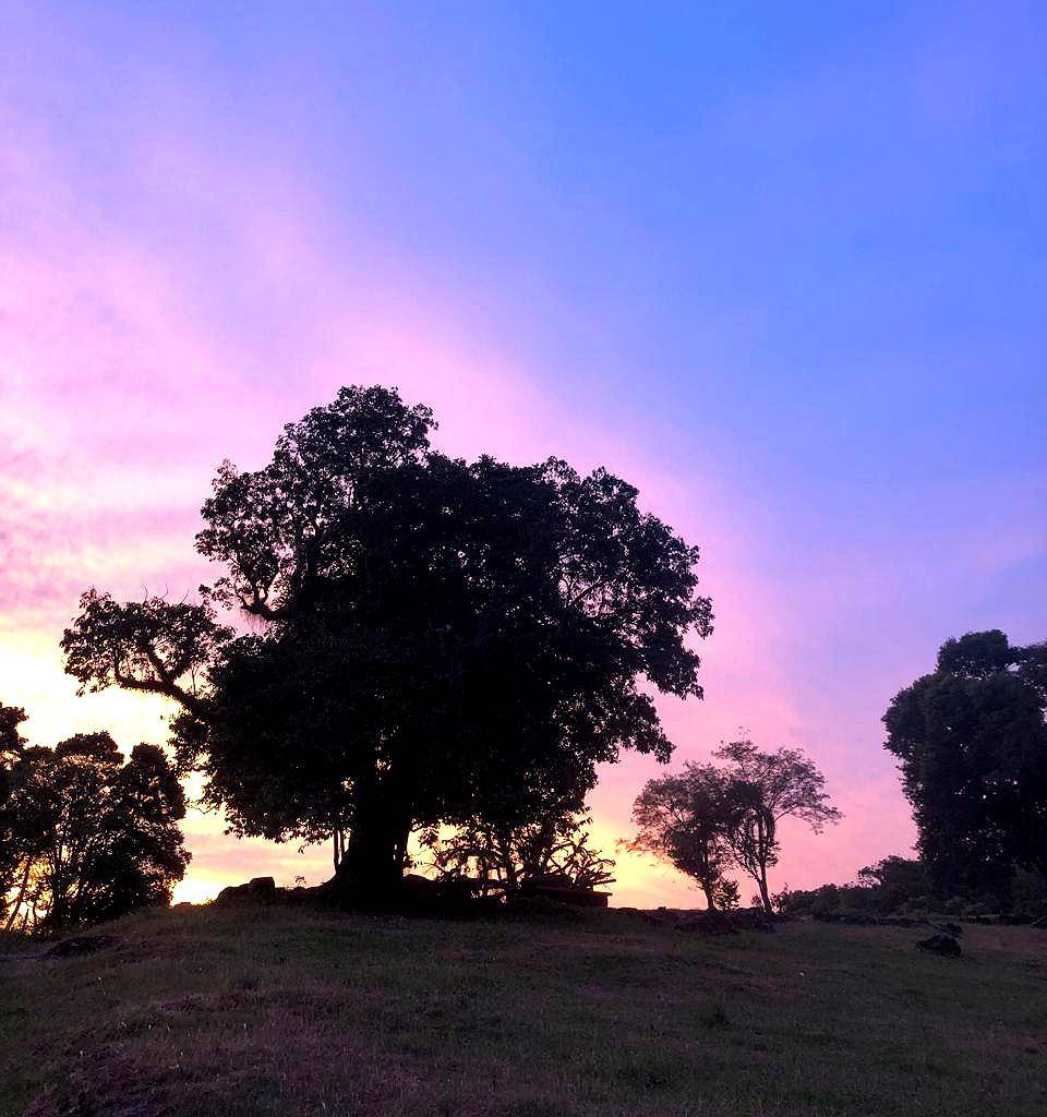 Terreno, 500 m² - Foto 8