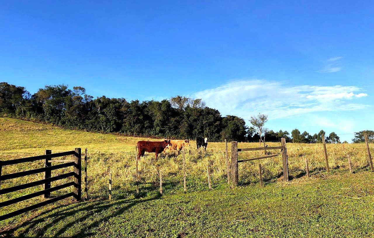 Terreno, 500 m² - Foto 9