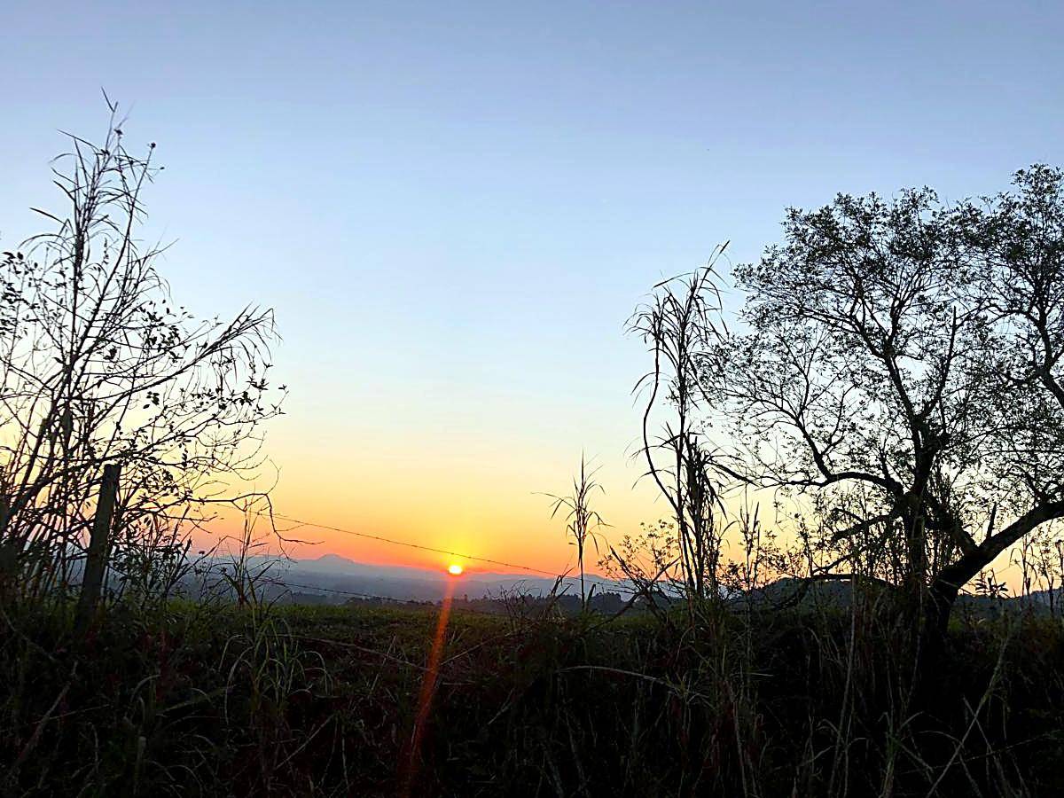 Terreno, 500 m² - Foto 10