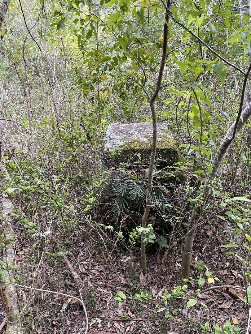 Terreno, 45 m² - Foto 7