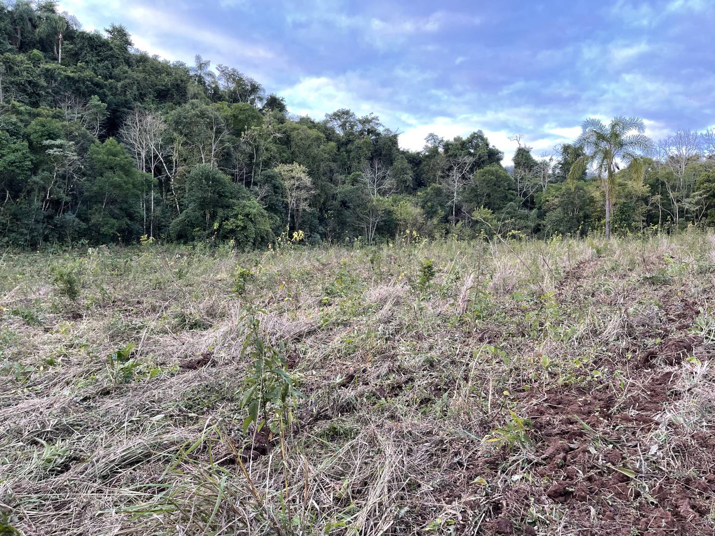 Terreno, 45 m² - Foto 4