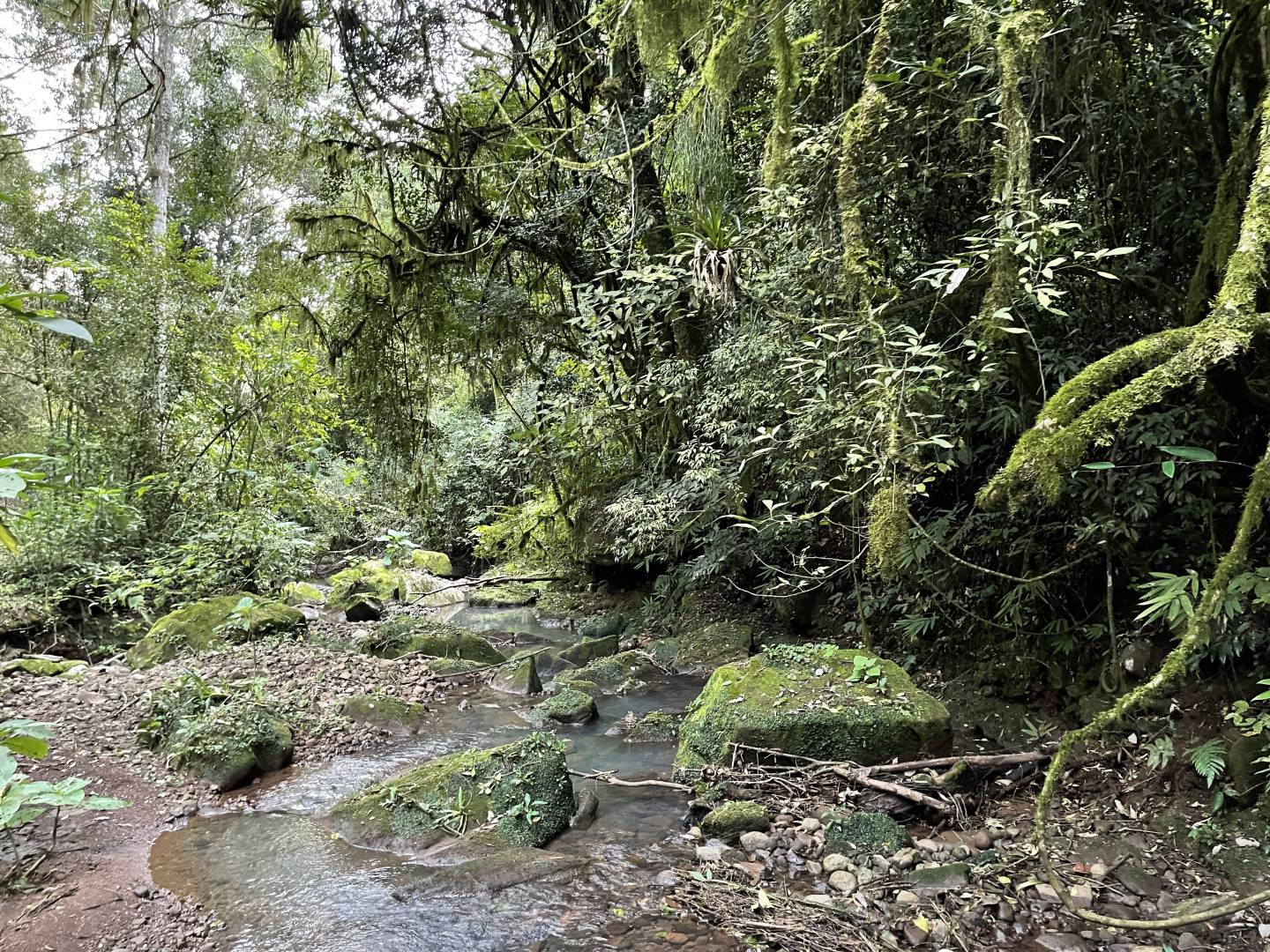 Terreno, 45 m² - Foto 8