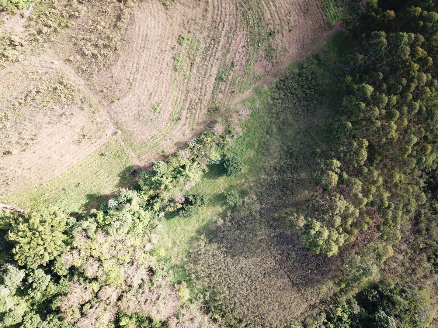 Terreno, 45 m² - Foto 9