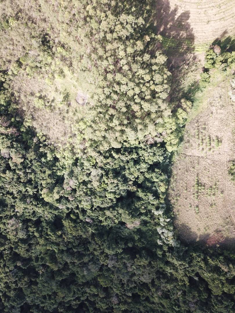 Terreno, 45 m² - Foto 10