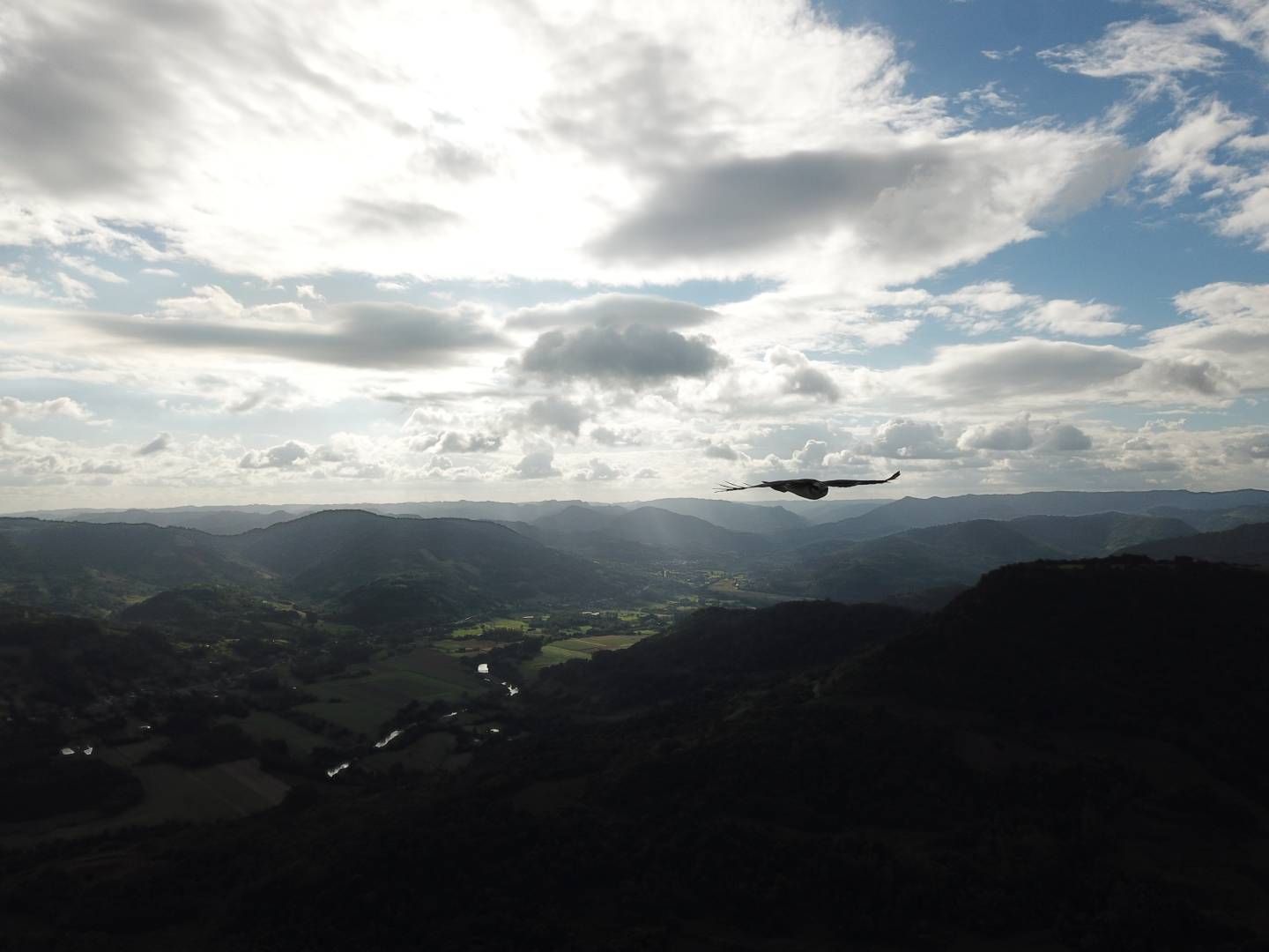 Terreno, 45 m² - Foto 11