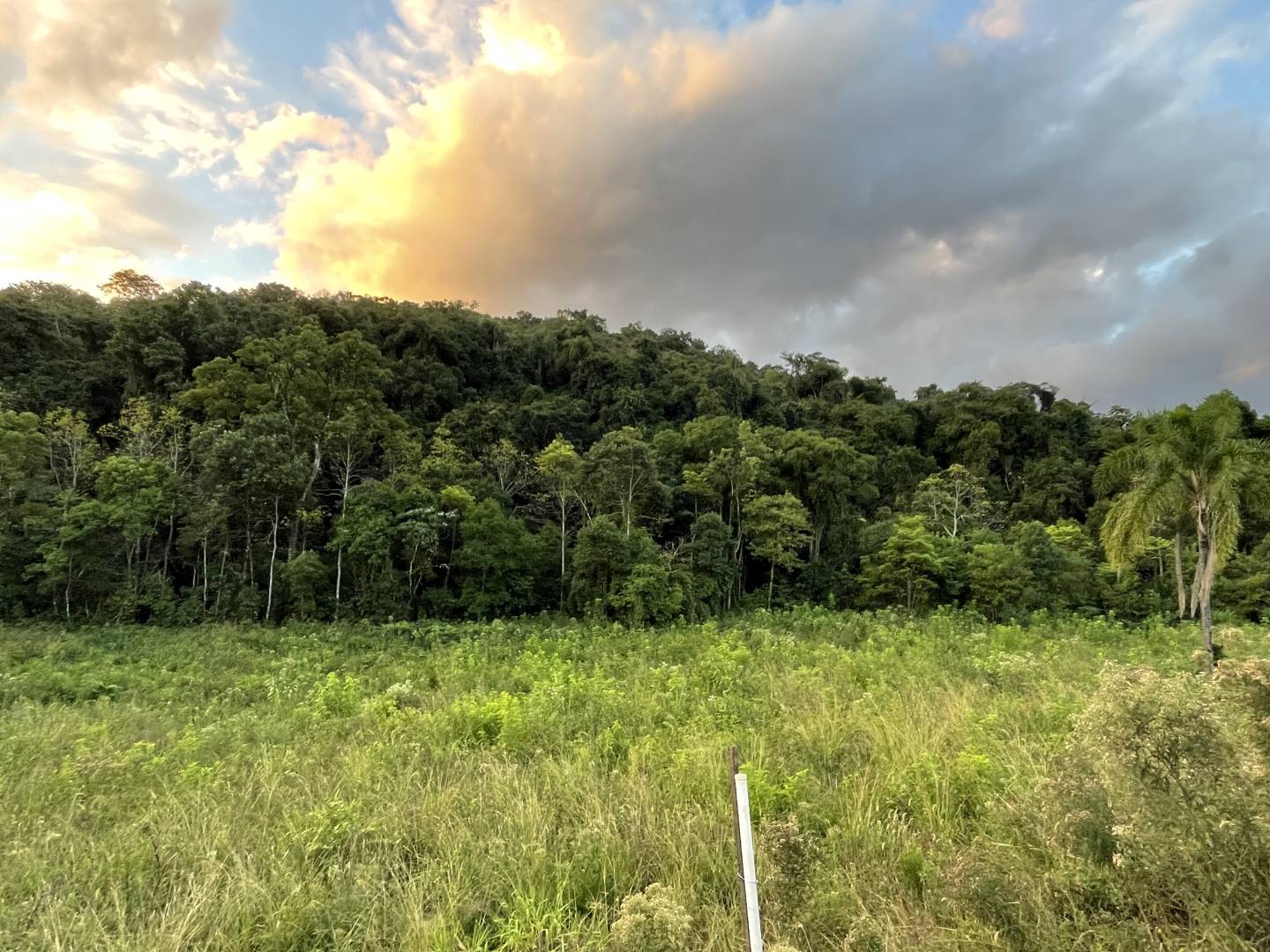 Terreno, 45 m² - Foto 3