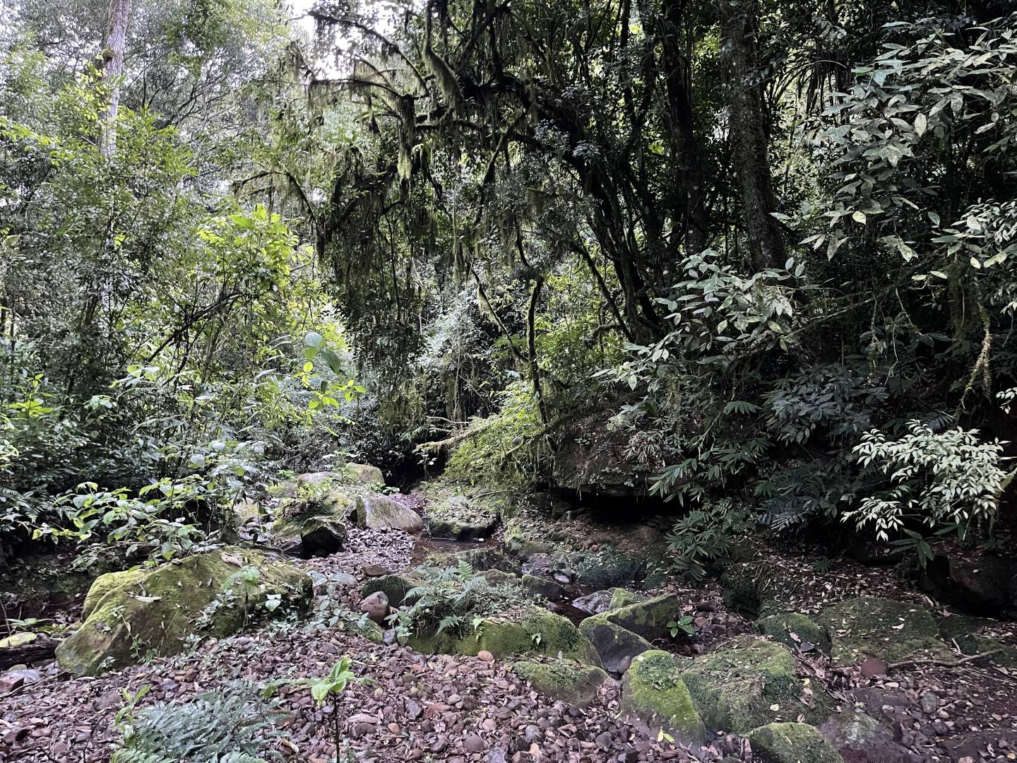 Terreno, 45 m² - Foto 13