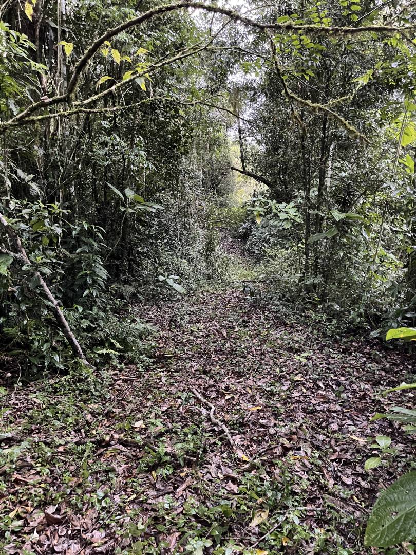 Terreno, 45 m² - Foto 14