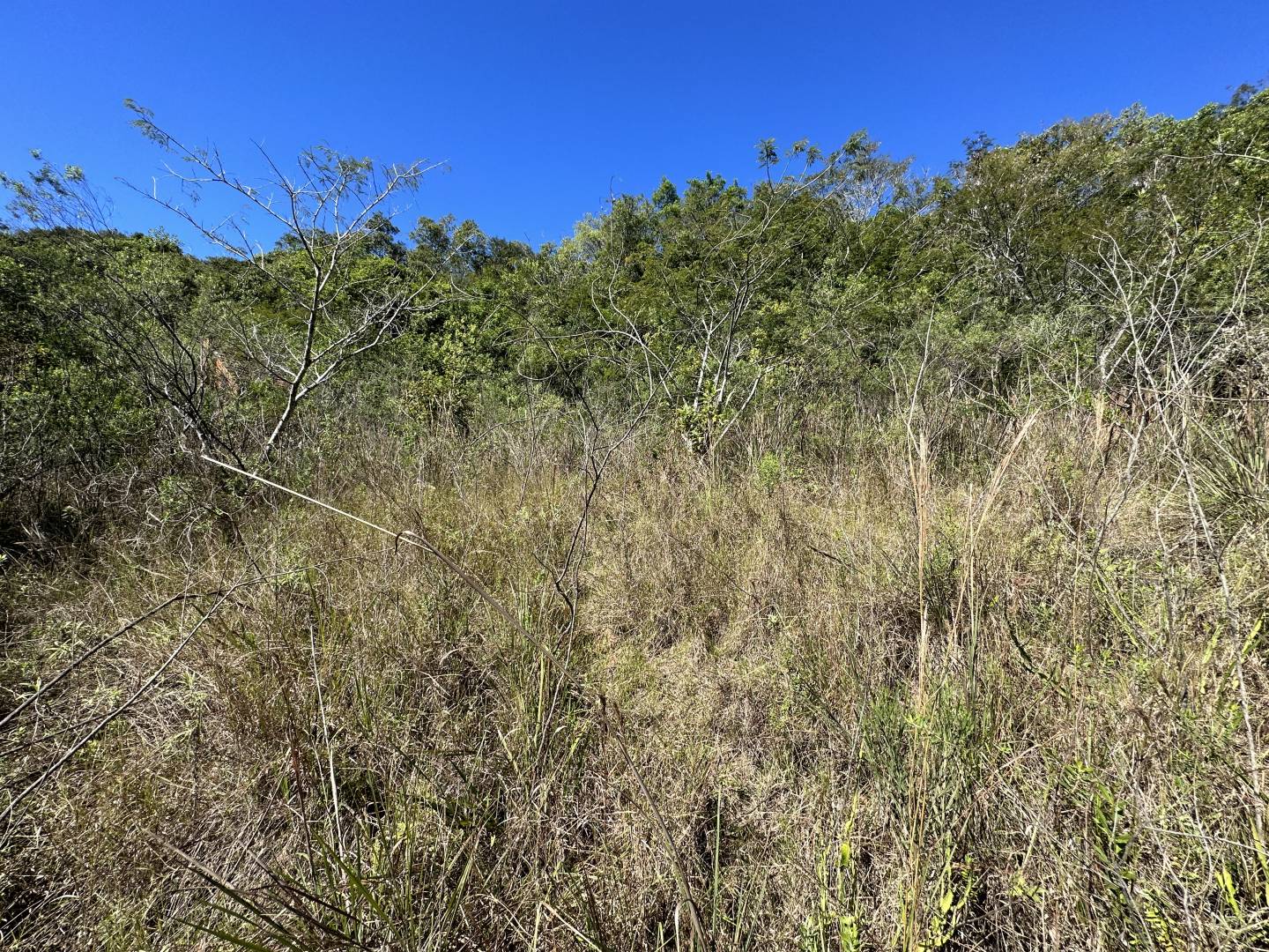 Terreno, 45 m² - Foto 16