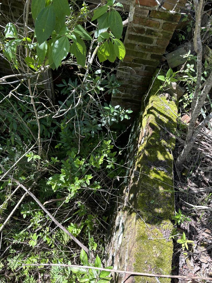 Terreno, 45 m² - Foto 17