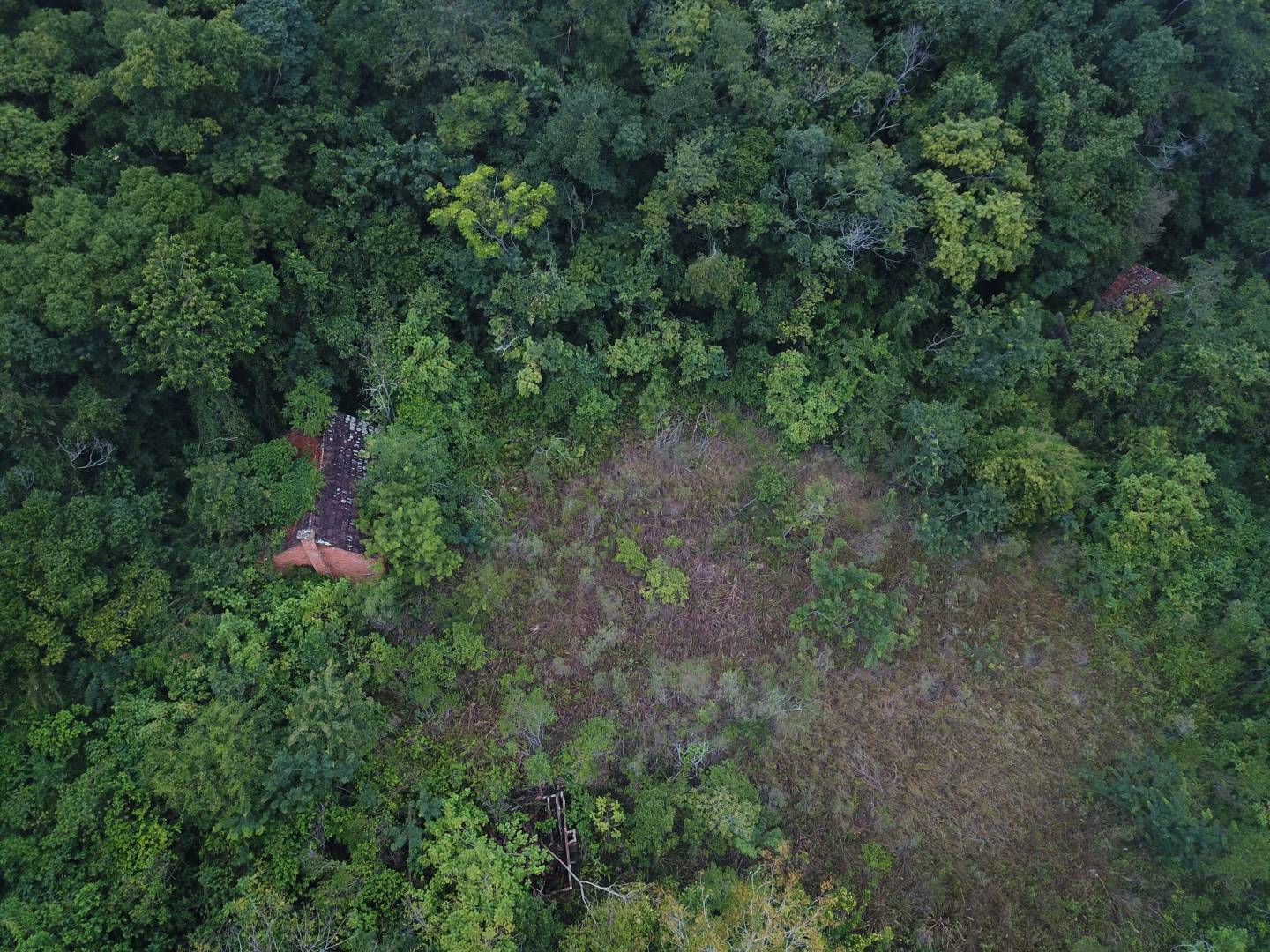 Terreno, 45 m² - Foto 19