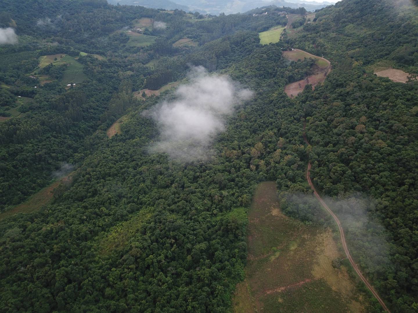 Terreno, 45 m² - Foto 20