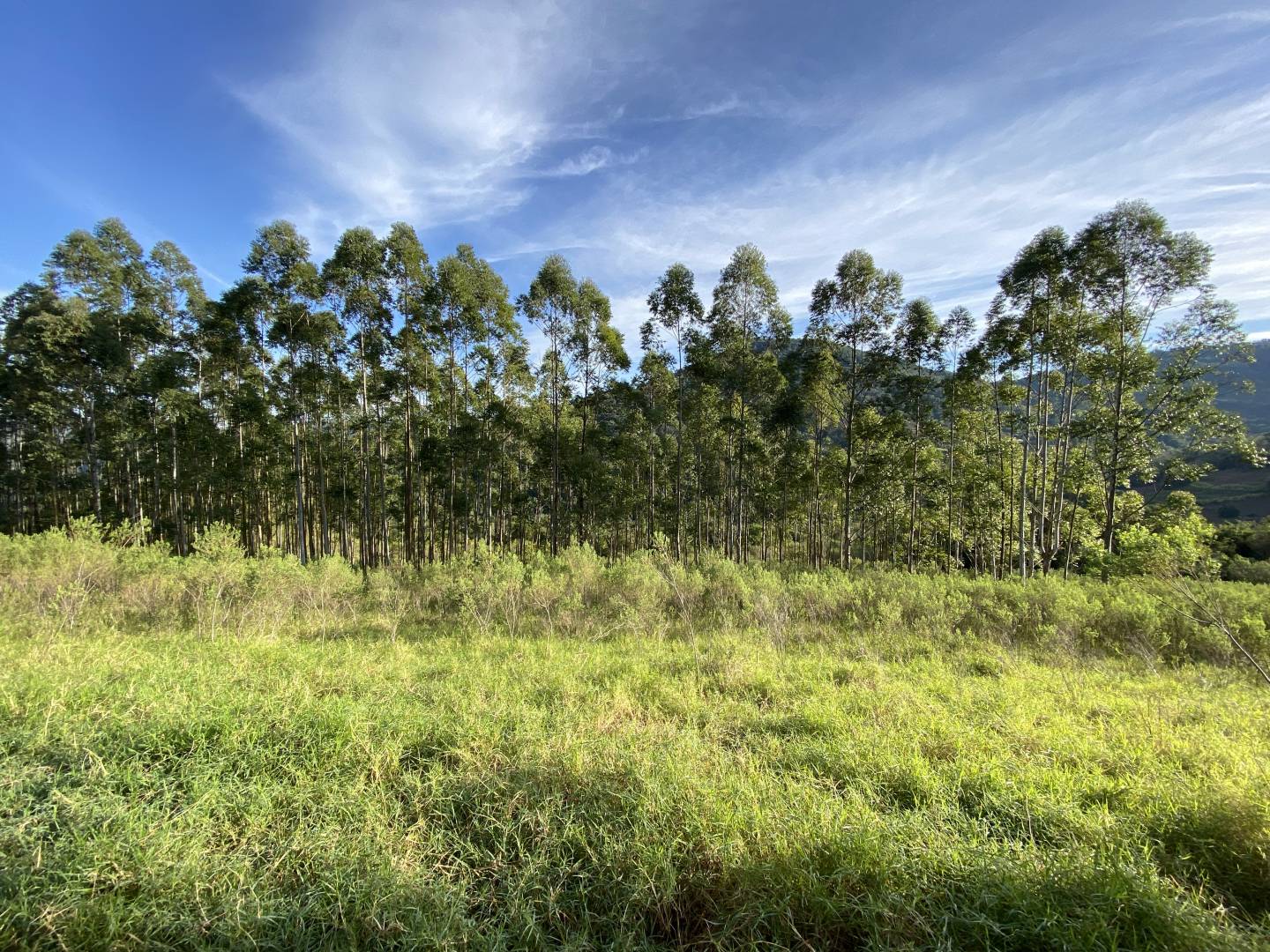 Terreno, 45 m² - Foto 1