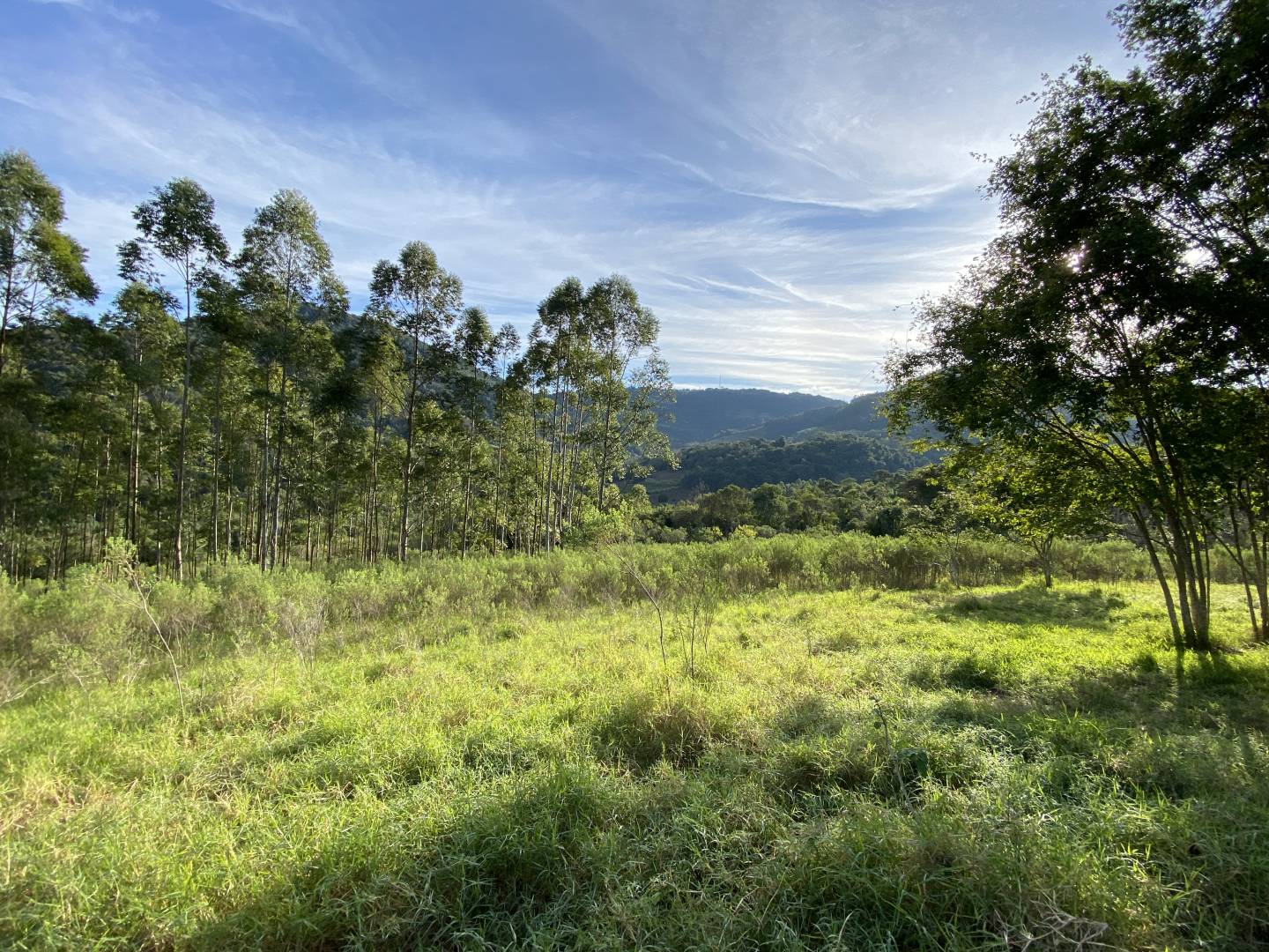 Terreno, 45 m² - Foto 2