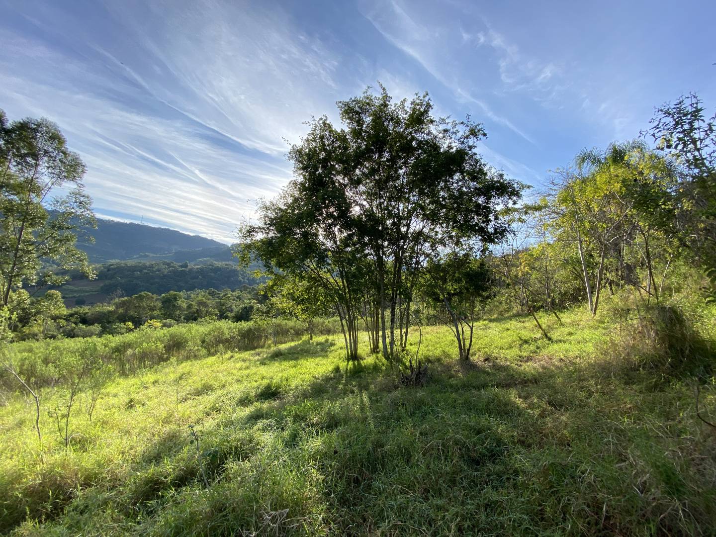 Terreno, 45 m² - Foto 23