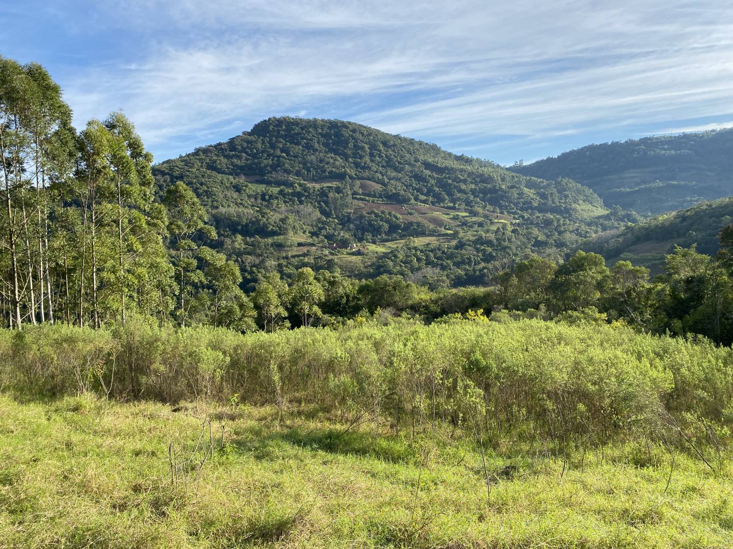 Terreno, 45 m² - Foto 24